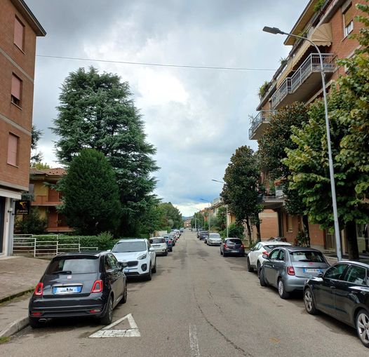 Cambia la viabilità in via Venturi